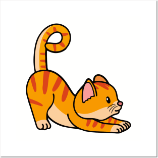 cute cat streching animal yoga concept kitten doing yoga Posters and Art